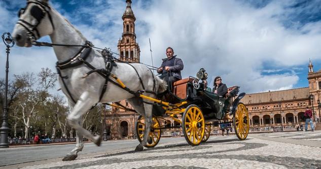 To Know Seville in a Different way click Here