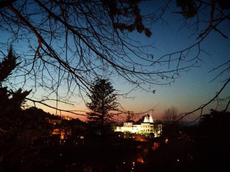 Private Night Walk: Sintra, Dreams in the Woods
