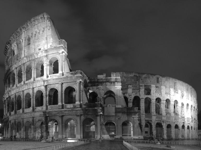 Guided tour of the Colosseum, Roman Forum and Palatine Hill - SPANISH