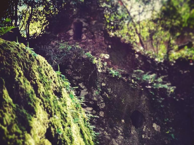  Private Day Walk: Sintra, Legends and Medieval Stories