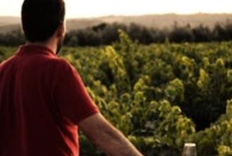 Jerez Private Wine Cellar Tour and Tasting