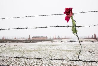 Auschwitz-Birkenau Memorial and Museum- SPANISH Guided Tour