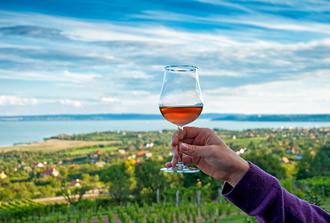 Lake Balaton Full Day Private Wine Tour (4-6 pax)