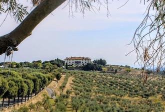 Medici Family Villas in Tuscan Countryside & Wine Tasting
