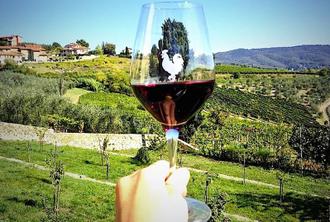 Tuscany: Winemaker Wine Tasting Tour
