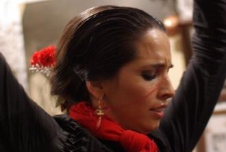Granada Sacramonte Caves Flamenco Show with Albayzin Walking Tour