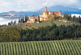 Full-Day Brunello Wine experience from Florence - Private Tour