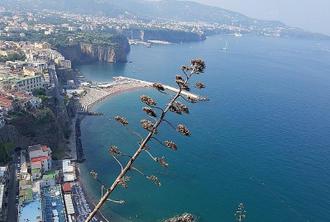 Tour on the Amalfi Coast: Ravello, Amalfi and Positano, a day from Rome