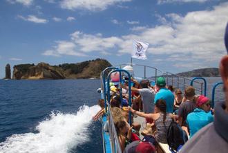 Full day Tour - Whale and dolphin watching and visiting Vila Franca Islet