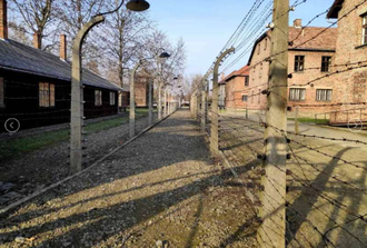 Auschwitz & Salt Mine in One Day with Private Car - English Guide in Both sites