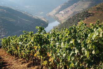 Douro Valley - Full Day Private Tour