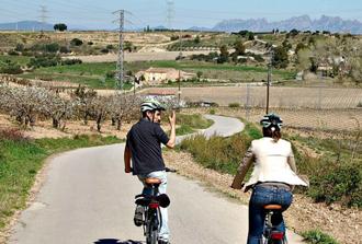 Electric bike tour in the Penedès region and lunch at a winery