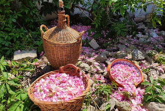 Rose Jam Workshop and Leavening of Authentic Yoghurt in a Traditional House