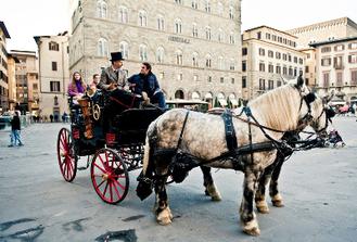 Exclusive Private Experience - Horse- Drawn Carriage Ride in Florence