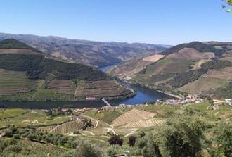 Douro Valley Wine Tour - Gourmet Lunch & 2 Wineries Tastings - Boat Ride