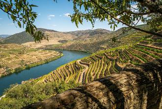 Private Douro Valley Food and Wine Tour From Porto by Car