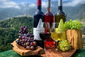 Skywalk & Professional Wine Tasting and Vineyards Tour in Open Roof 4x4