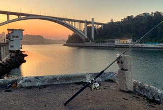 The Morning Porto Bike Tour