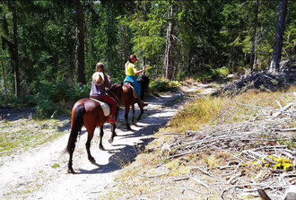 Half Day Horse Riding to Soskovcheto Preserve in Smolyan	