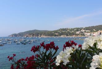 Discover the sights of Costa Brava on a half-day tour
